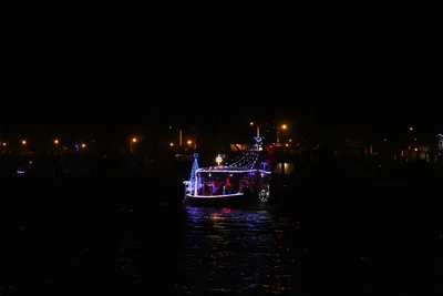 DSC_2552 (Large).JPG